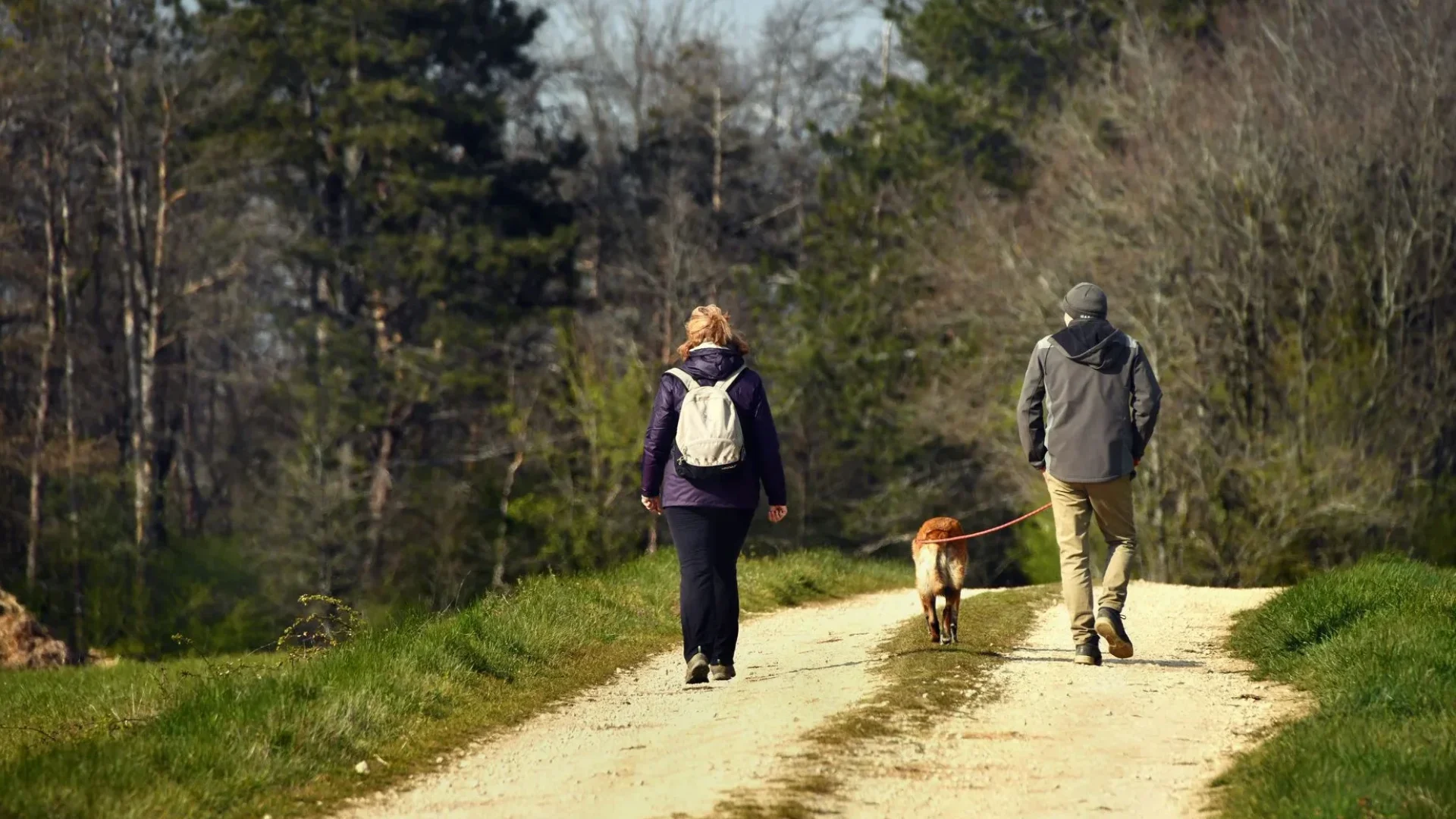 Vacances et voyage avec son chien en Puisaye-Forterre