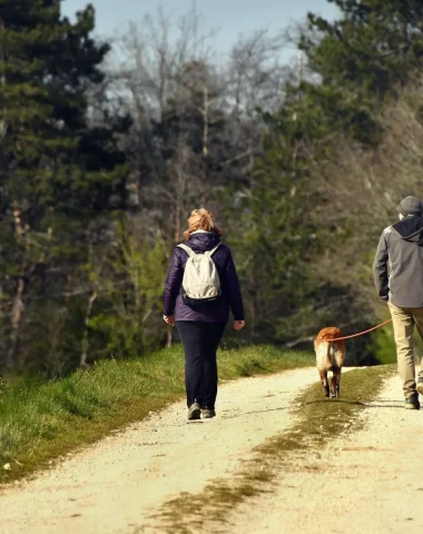 Vacances et voyage avec son chien en Puisaye-Forterre