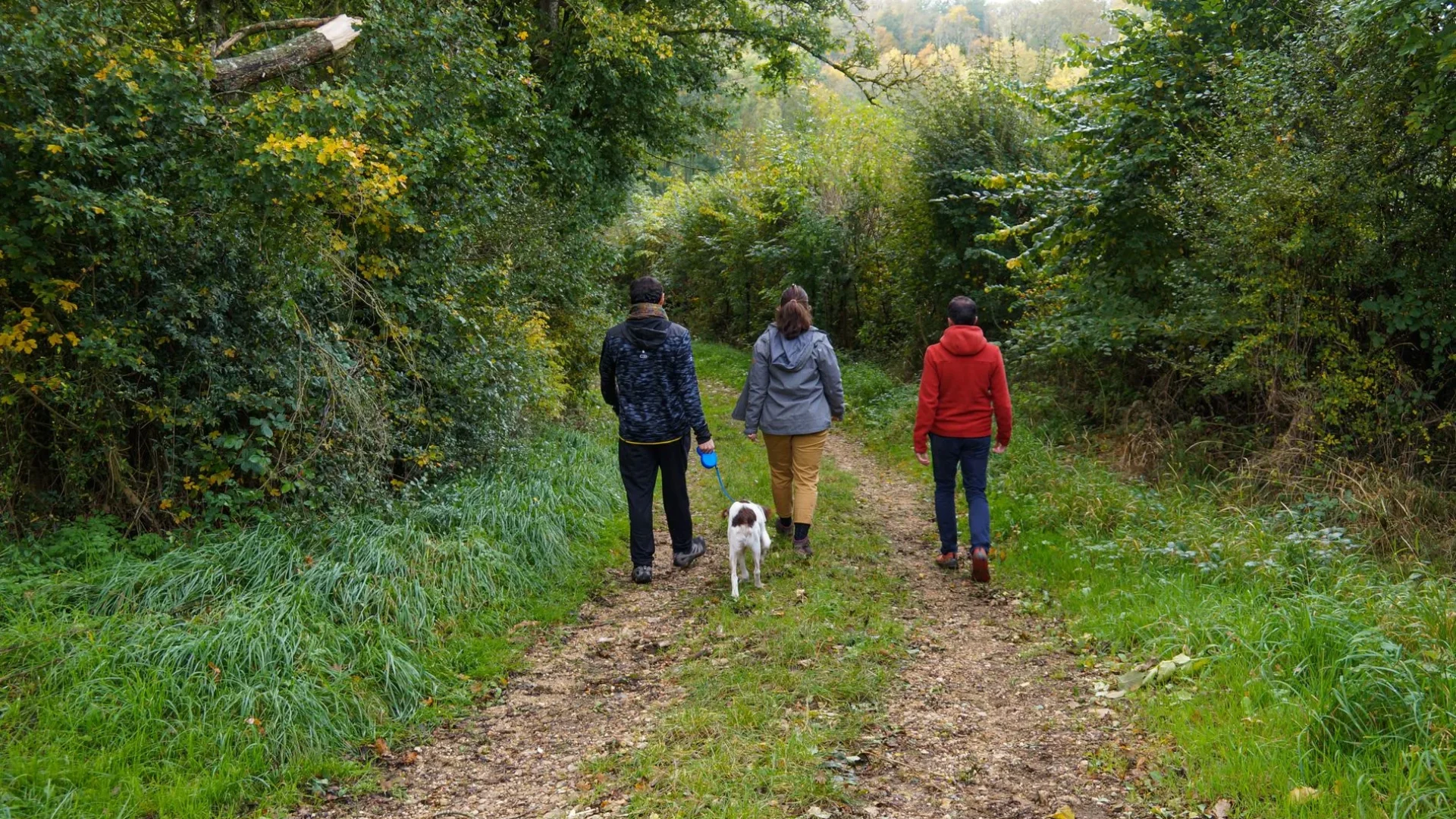 Vacances et voyage avec son chien en Puisaye-Forterre