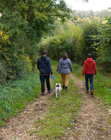 Vacances et voyage avec son chien en Puisaye-Forterre