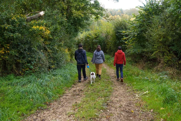 Vacances et voyage avec son chien en Puisaye-Forterre