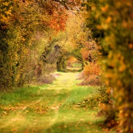 Chemin de randonnée en Puisaye-Forterre à l'automne en Bourgogne