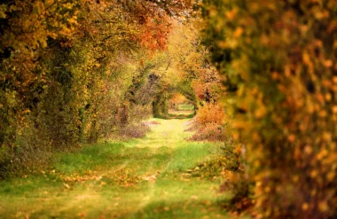 Chemin de randonnée en Puisaye-Forterre à l'automne en Bourgogne