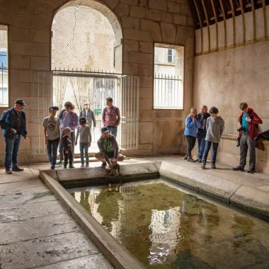 Groupe d'amis et cousinade en Puisaye près de Paris en Bourgogne