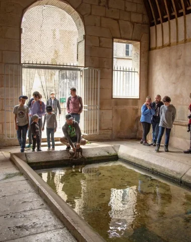 Groupe d'amis et cousinade en Puisaye près de Paris en Bourgogne