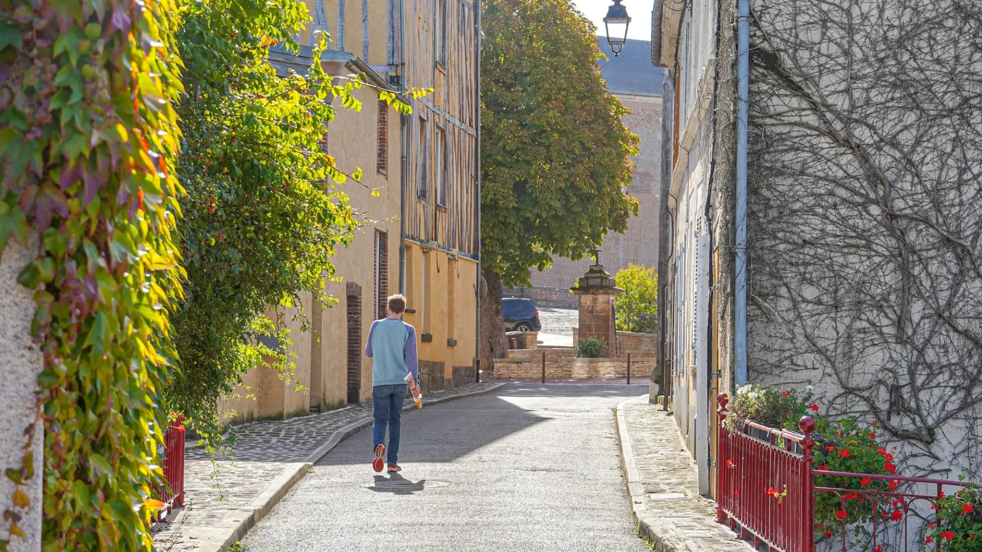 Village de Saint-Fargeau en Puisaye