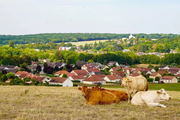 Vue du village de Charny Orée de Puisaye