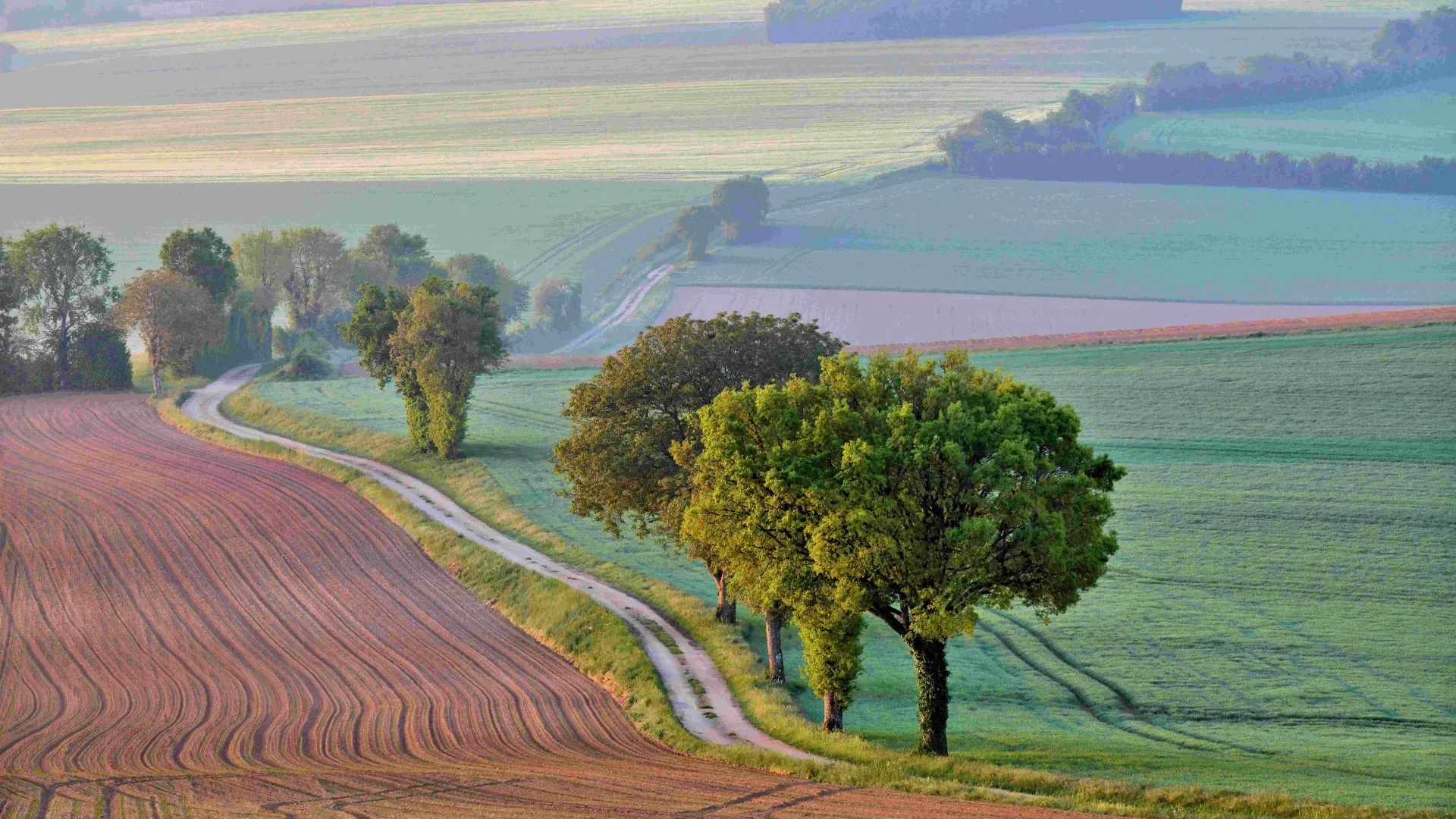 Hilly landscapes of Forterre