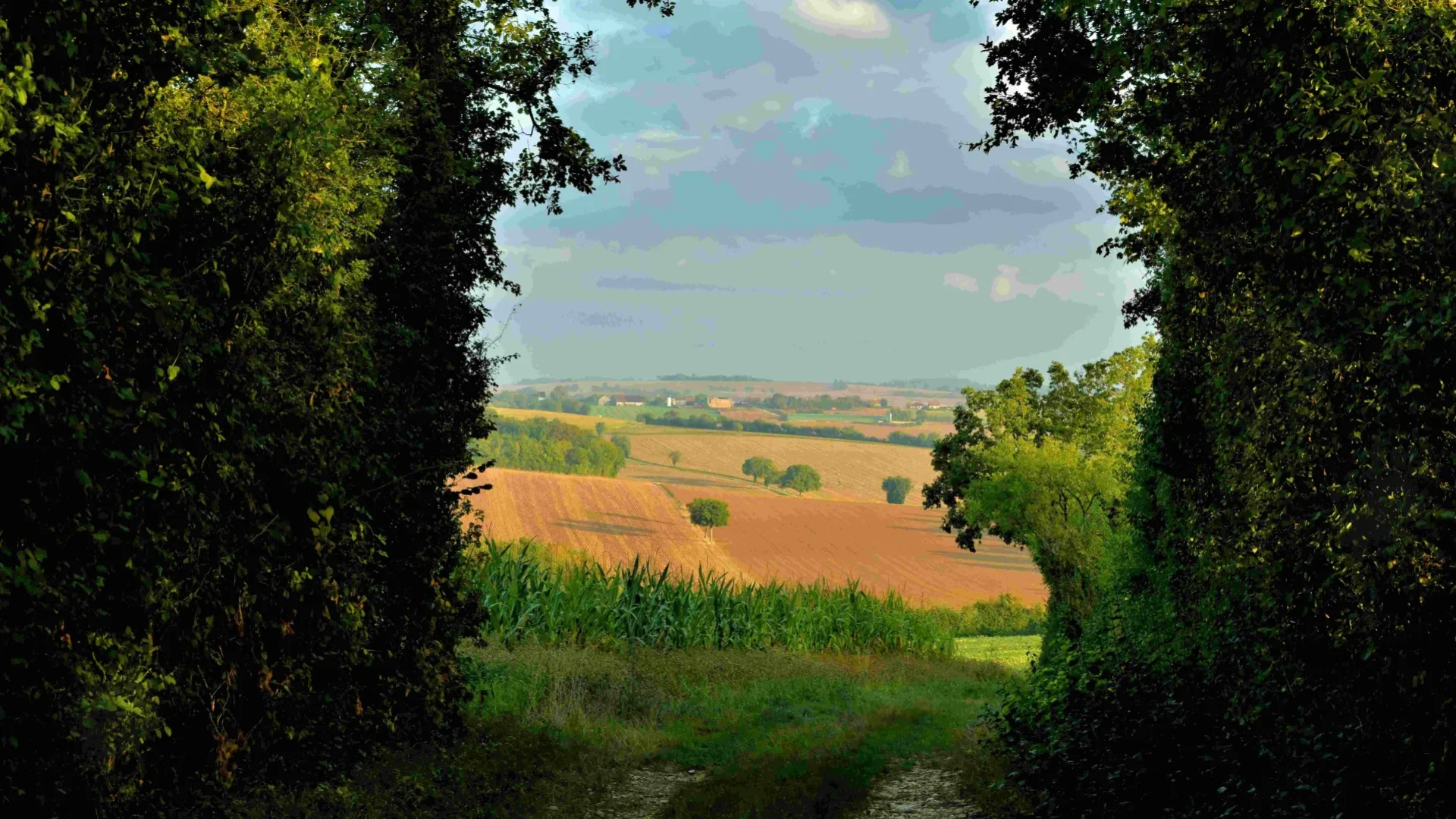 A hiking trail with a view of the Forterre countryside