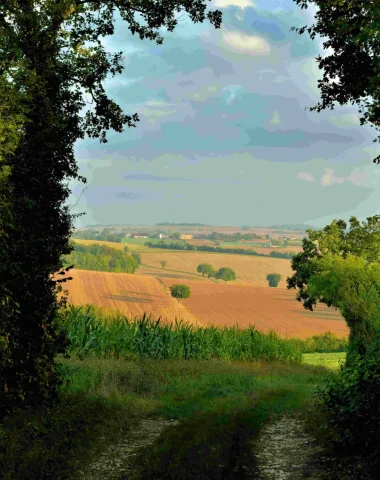 A hiking trail with a view of the Forterre countryside