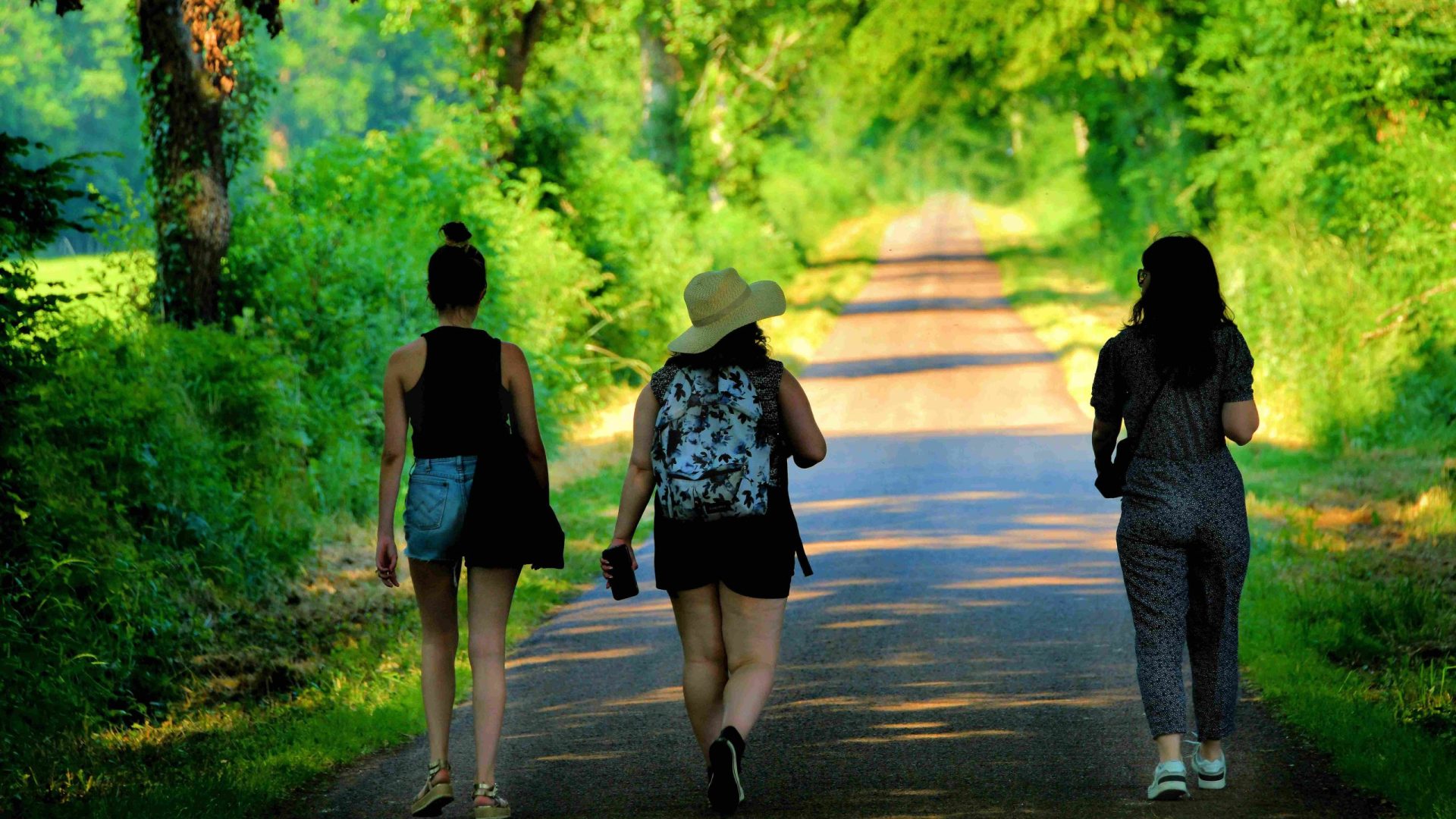 Randonnée sur une route ombragée en été