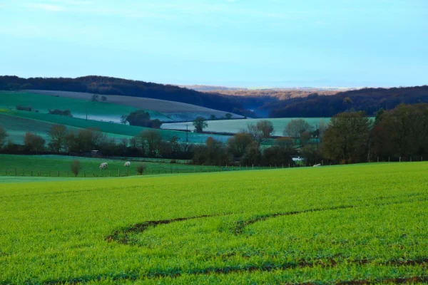 View of the countryside near Bouhy