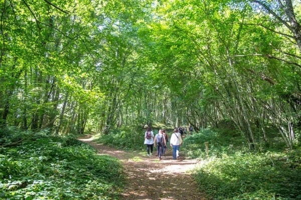 Walk with friends at Ferrier de Tannerre in summer