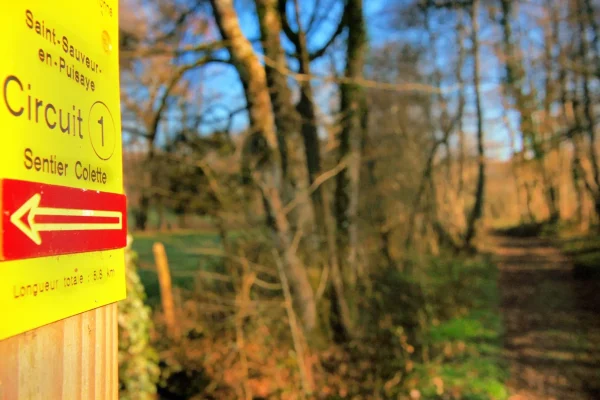 Le sentier Colette, au départ de Saint-Sauveur-en-Puisaye