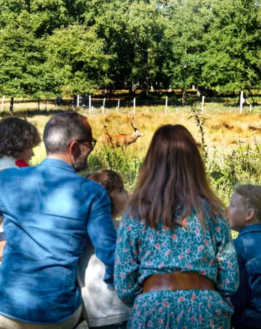 Famille à Boutissaint observant les cerfs