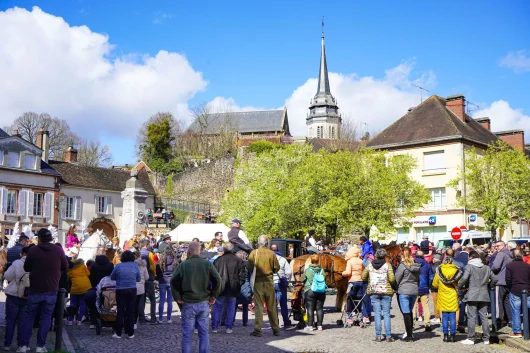 Beau marché de Toucy en Puisaye dans l'Yonne