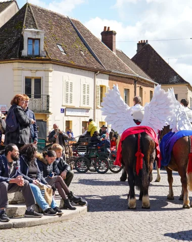 Beautiful market in Toucy en Puisaye in Yonne