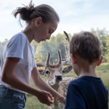 enfants au parc de Boutissaint devant un daim