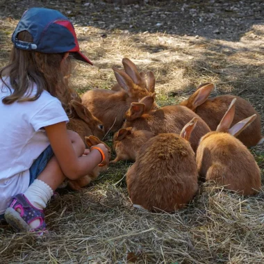 little girl with rabbits at the Moulin de Vanneau