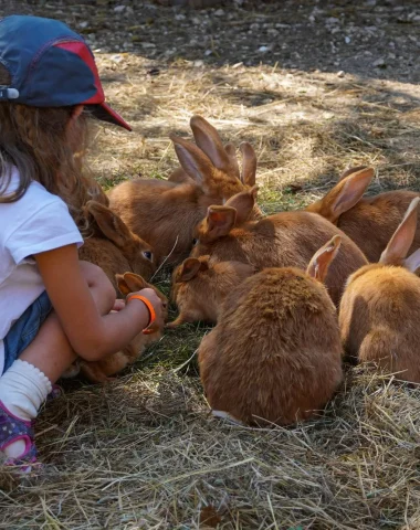 petite fille avec des lapins au Moulin de Vanneau