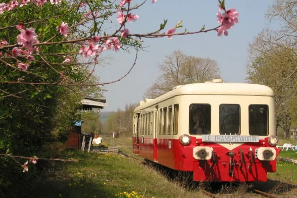 Le Train Touristique au printemps