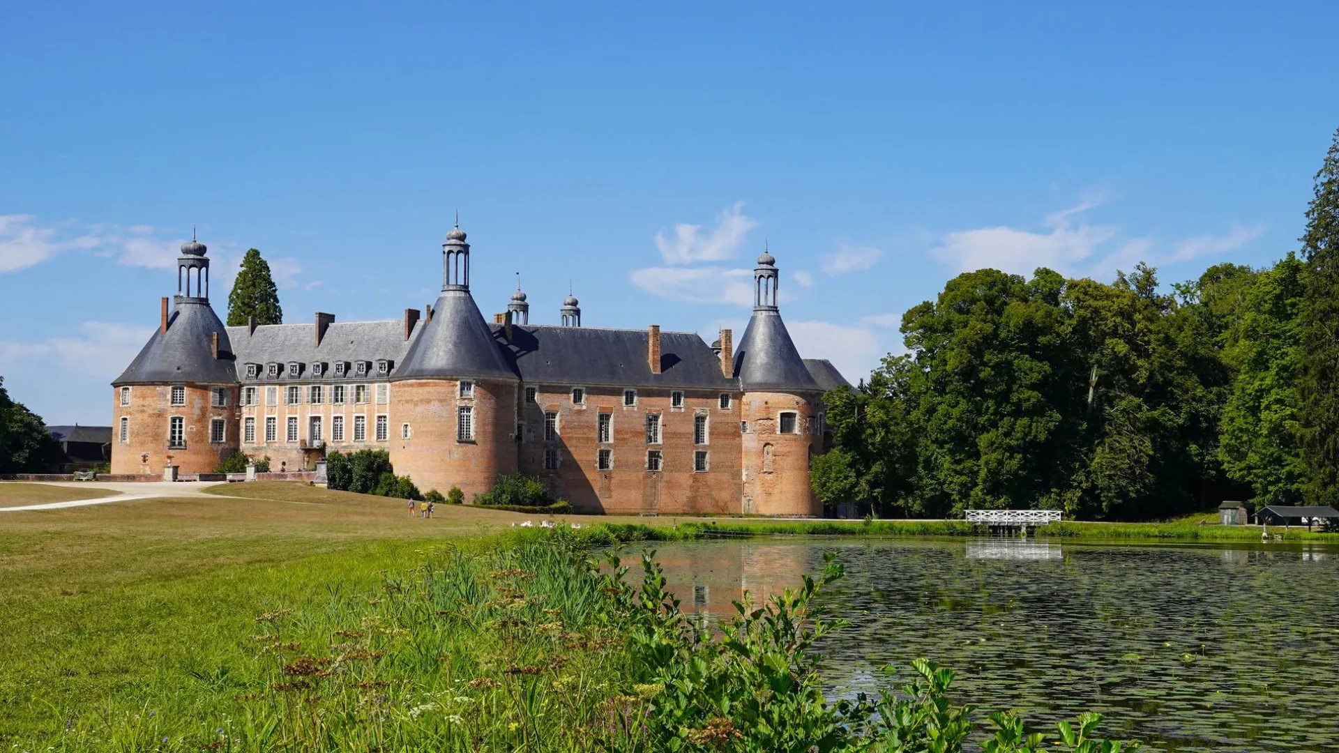 Château de Saint-Fargeau with its park and pond