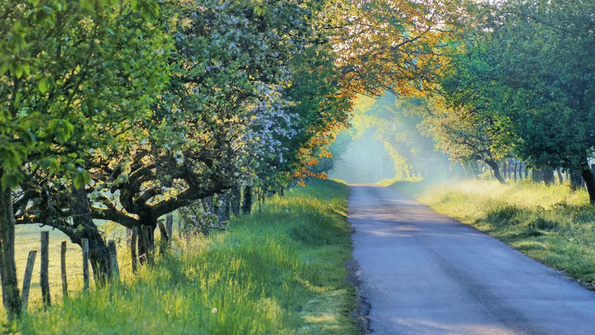 Road to Puisaye in Spring