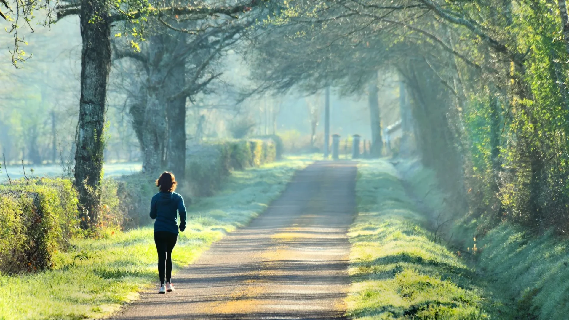 Jogging and hiking in the open air on our roads in Puisaye-Forterre