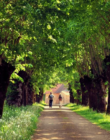 Hikers on a shaded path in Perreuse