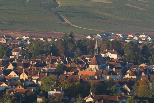 Village de Chablis entouré de ses vignes renommées