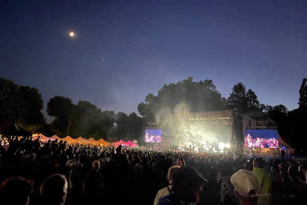 Festival Catalpa de nuit à Auxerre en plein concert