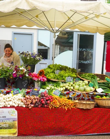 Stand de fleurs au marché hebdomadaire de Toucy