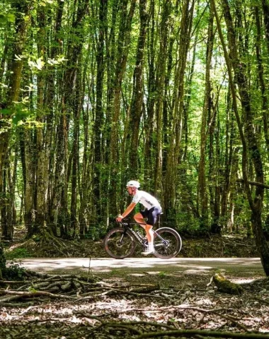 Road cycling in Puisaye-Forterre