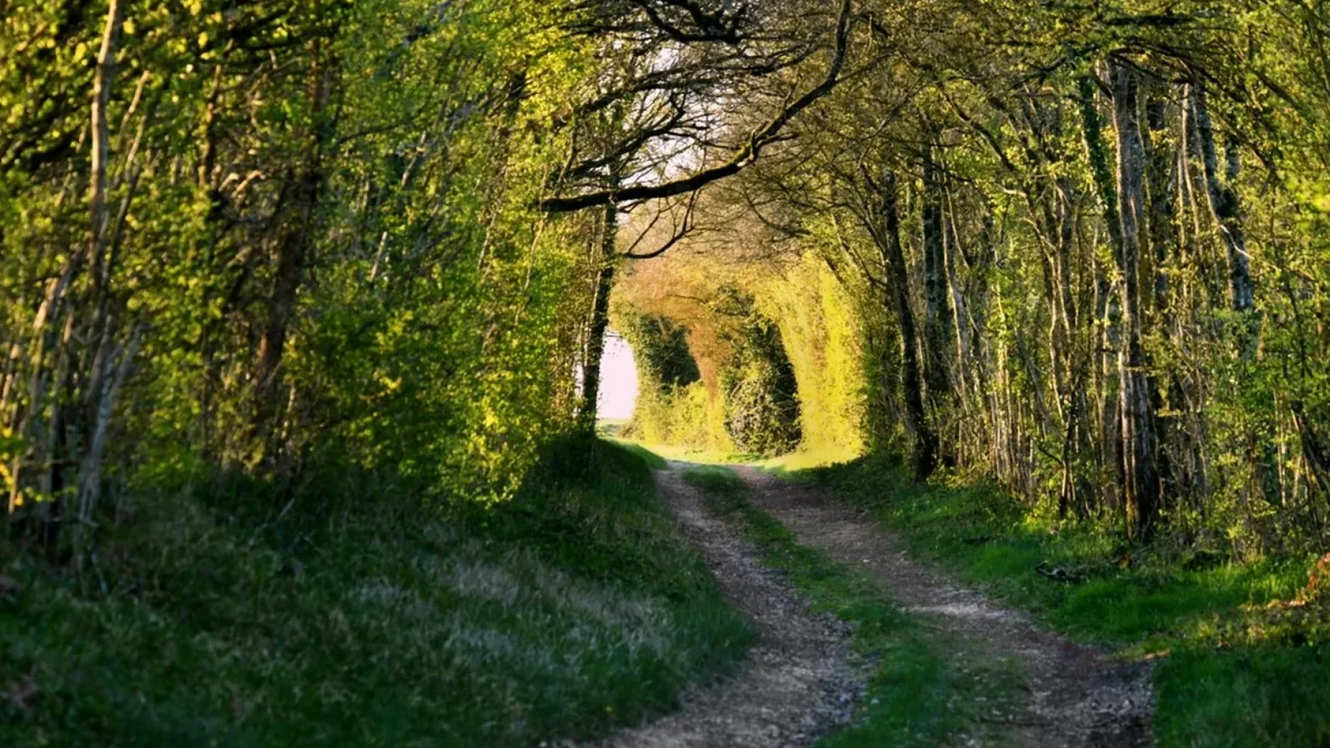 Hiking path in Forterre