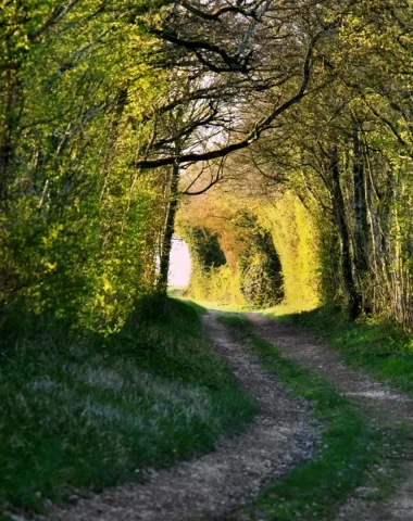 Chemin de randonnée en Forterre