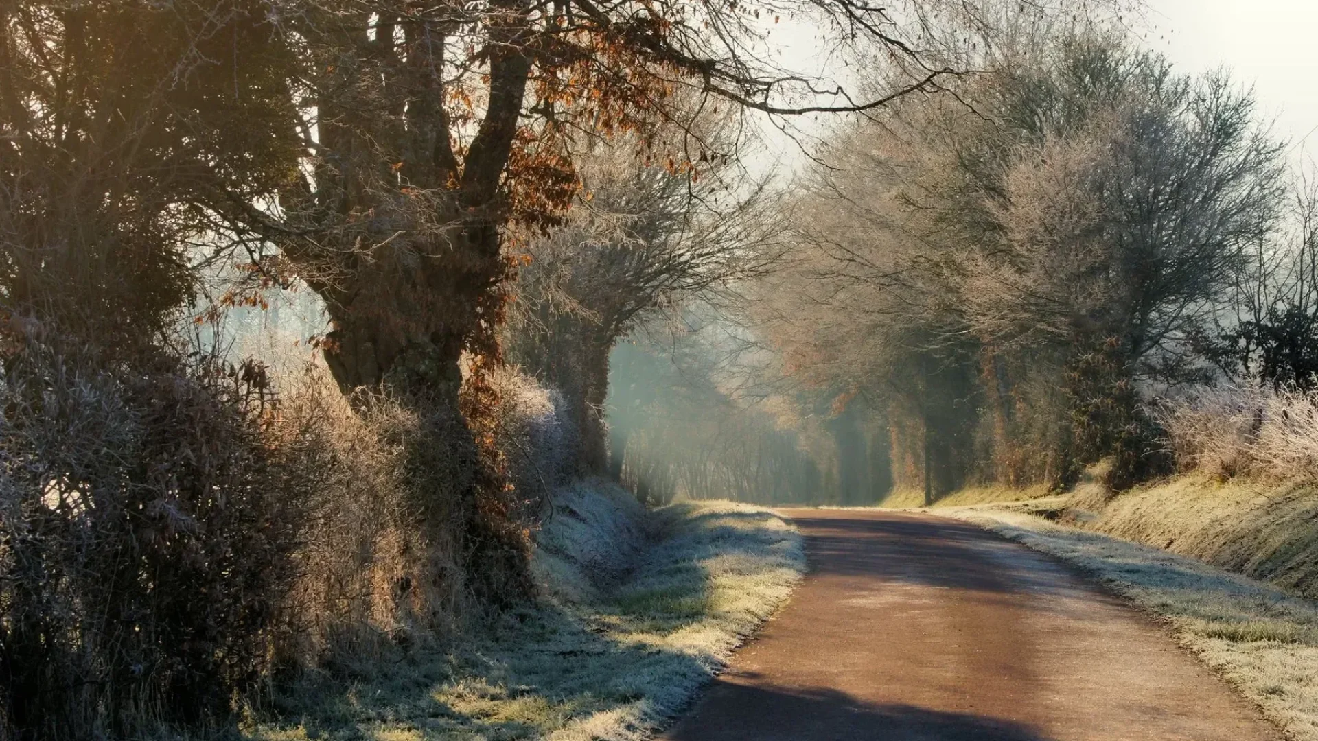 chemine route d'hiver en Puisaye