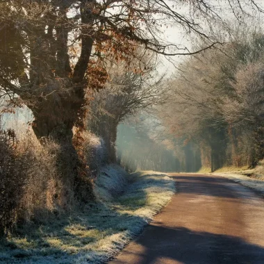 chemine route d'hiver en Puisaye