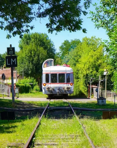 Train touristique de Toucy au passage à niveau