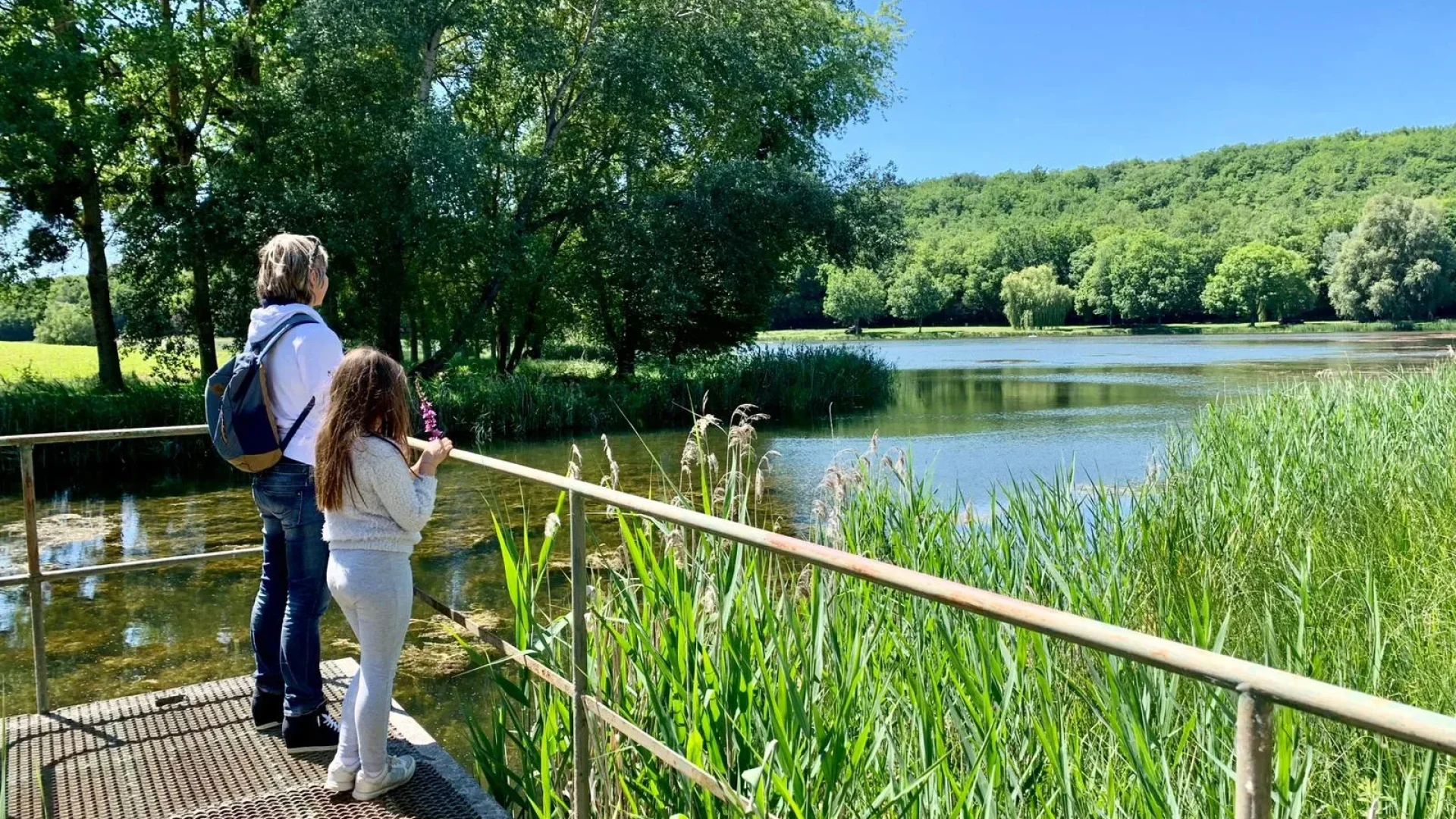 Sentier du Marais d'Andryes en Puisaye-Forterre