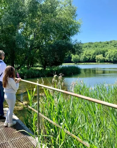 Sentier du Marais d'Andryes en Puisaye-Forterre