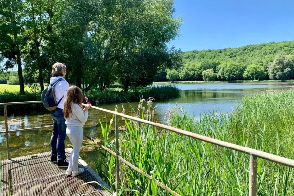 Sentier du Marais d'Andryes en Puisaye-Forterre