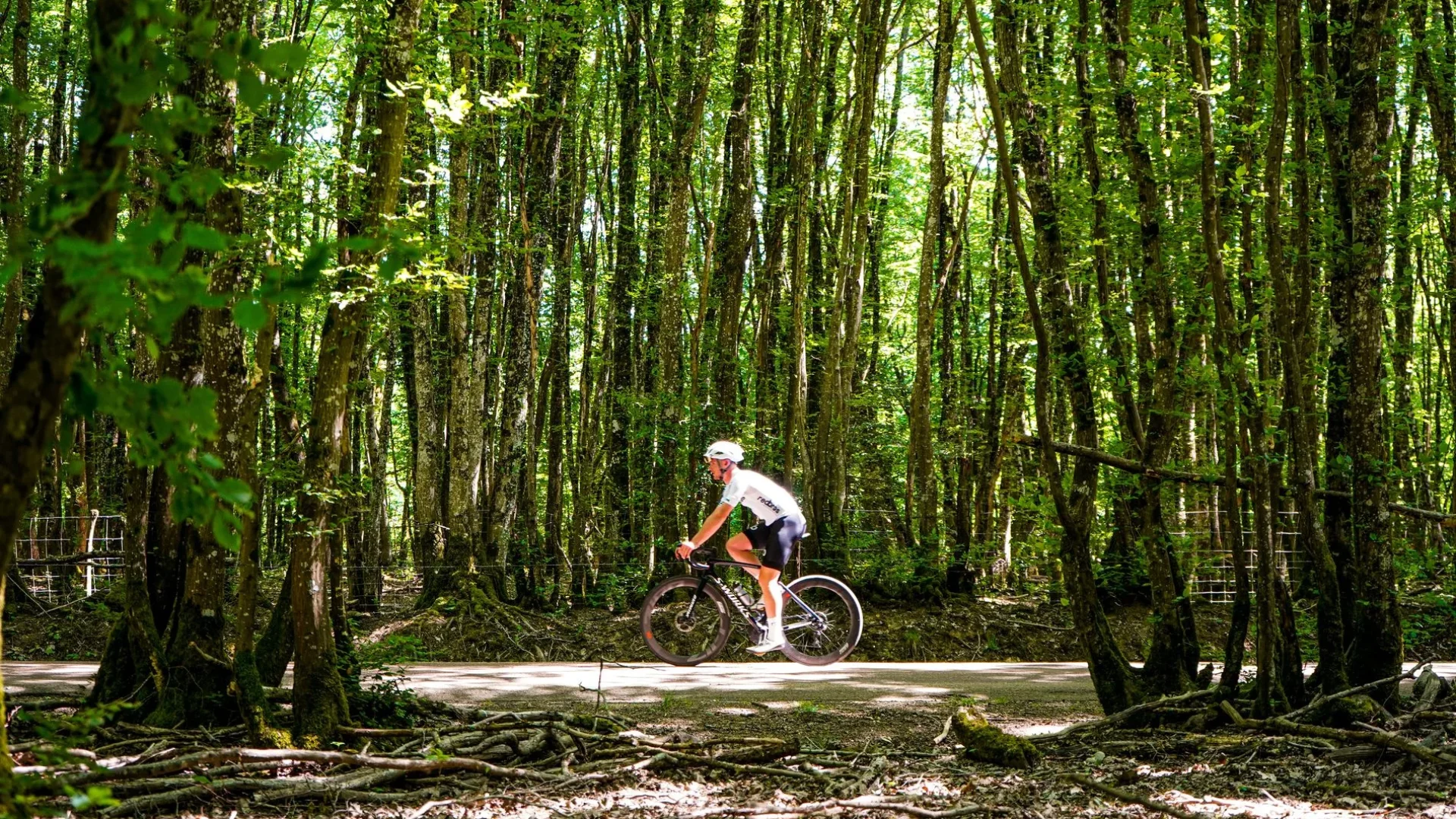 Randonnée VTC sous les voûtes végétales de Puisaye-Forterre