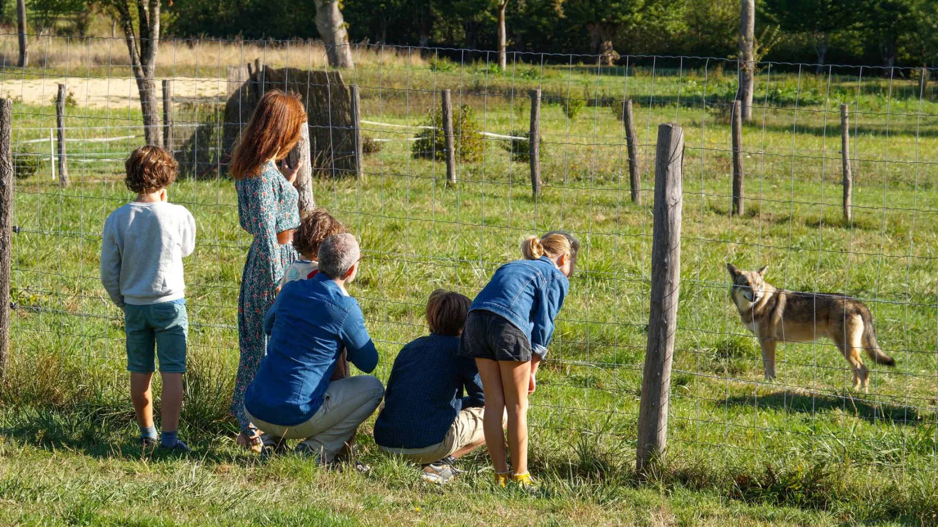 Découverte des loups en famille