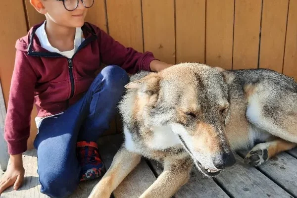 Child at the Wolf Pyramid of Toucy