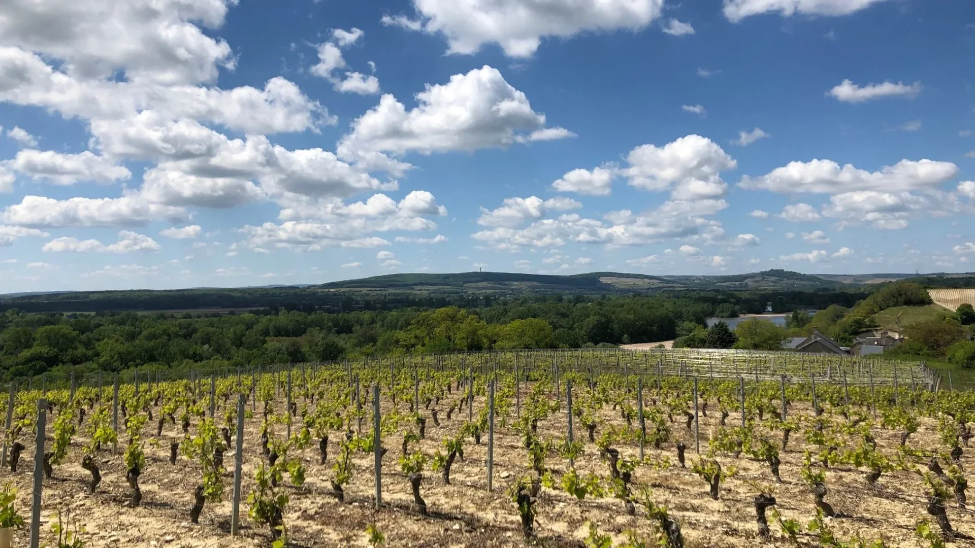 Les paysages viticoles de la Nièvre
