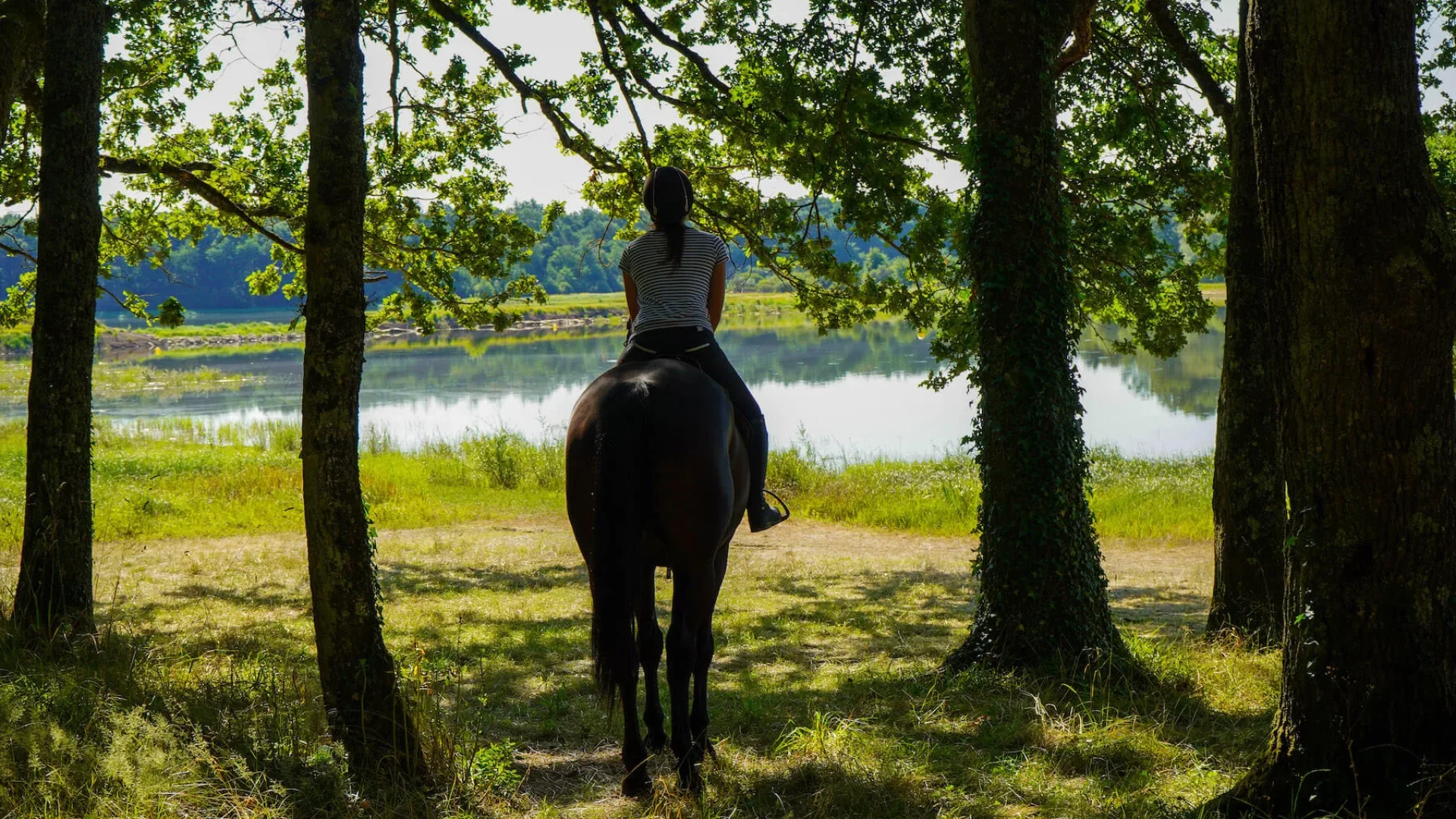 Promenade à cheval au lac du Bourdon à Saint-Fargeau