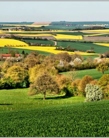 Spring Landscape in Puisaye-Forterre