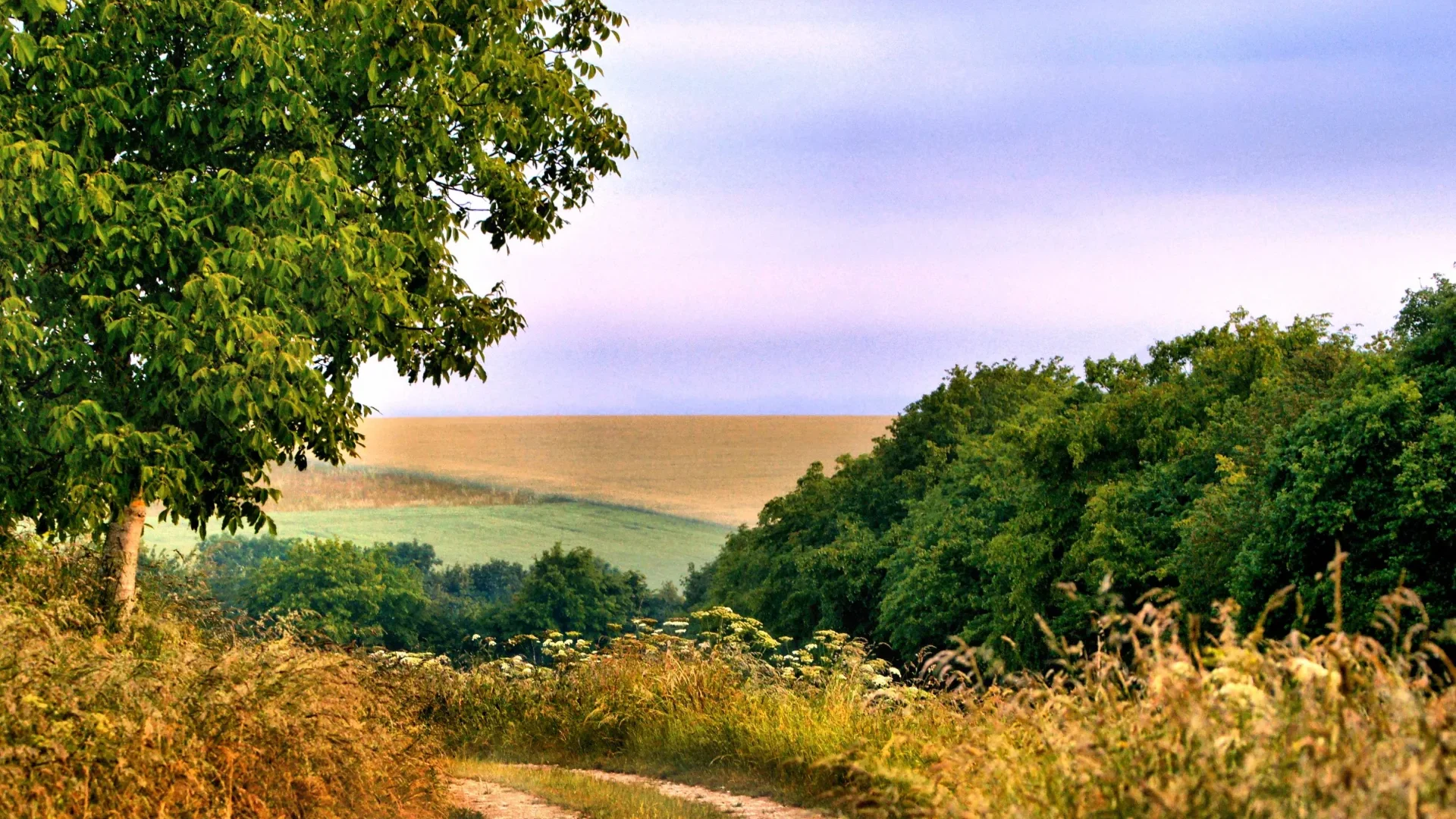 Panoramic hiking trail