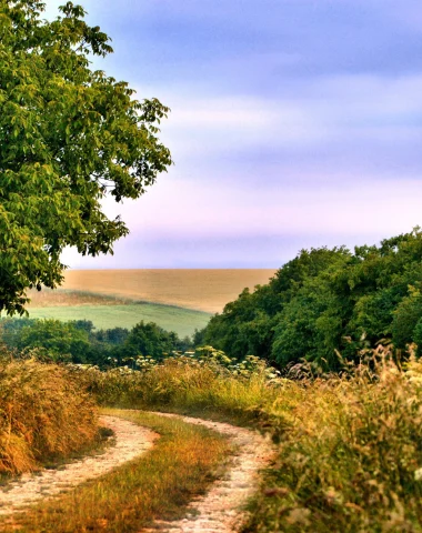 Chemin de rando panoramique