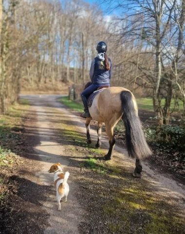 Horseback riding on the paths of Puisaye Forterre